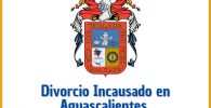 Divorcio Incausado en Aguascaliente