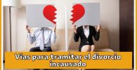 Por qué vía se tramita el divorcio incausado