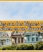 ¿Cuáles son los bienes que se dividen en un divorcio?