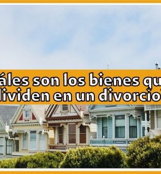 ¿Cuáles son los bienes que se dividen en un divorcio?