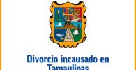 Divorcio incausado en Tamaulipas