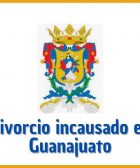 Divorcio incausado en Guanajuato